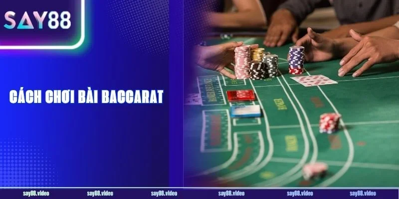 Cách Chơi Bài Baccarat - Hé Lộ Tips Đọc Cầu Chuẩn
