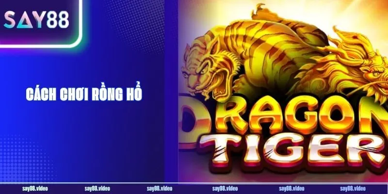 Hướng Dẫn Cách Chơi Rồng Hổ Dễ Hiểu Cho Người Mới Bắt Đầu